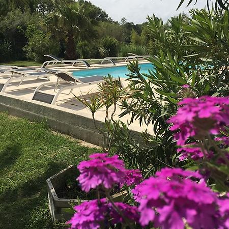 Appart'Hotel Et Chambres Essentiel Spa Arles Zewnętrze zdjęcie